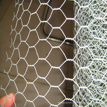 Cage d&#39;animaux: maille hexagonale galvanisée de 3 &quot;à 6 po